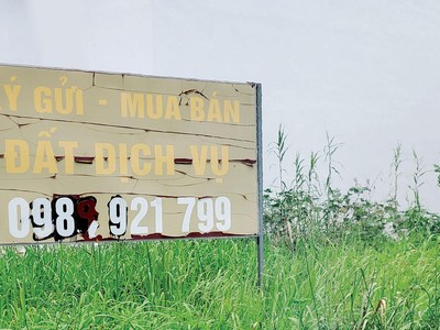 Trên thị trường hiện có nhiều tin rao bán Web Tổng Nhà Cái 99Kl99 Giải Trí Bậc Nhất với giá rẻ, hoặc thông tin dự án na ná dự án của Kl991.com World Cup 2026 Chính Thức lớn.