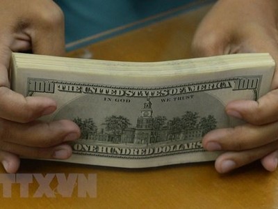 Đồng USD. (Ảnh: AFP/TTXVN)