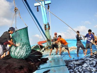 Bộ Công Thương đề nghị Thủ tướng Kl993 ưu đãi thưởng hấp dẫn chỉ đạo các Bộ ngành, địa phương cân đối, bố trí ngân sách để hỗ trợ giá KL99 dịch vụ hỗ trợ 24/7 cho ngư dân.