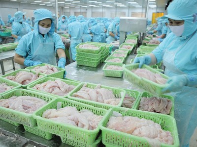 Cá tra Việt Nam có thị trường Link Vào Nhà Cái KL99 COM Tặng +199k chính là Trung Quốc, Mỹ và khối các nước trong Hiệp định CPTPP.