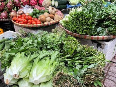 Mặt hàng rau xanh đang tăng ở các chợ trên địa bàn thành phố Hà Nội. (Ảnh: PV/Vietnam+).