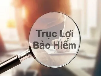 Xử lý hành vi trục lợi Kl99kl phiên bản hoạt động cần một chế tài thống nhất, đủ mạnh