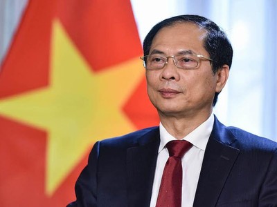 Bộ trưởng Ngoại giao Bùi Thanh Sơn. (Ảnh: BNG).