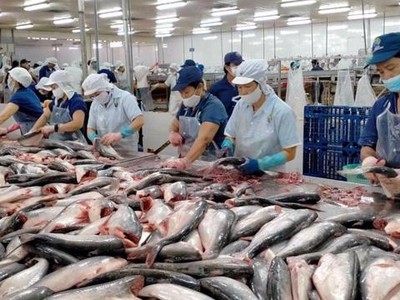 Trong kết luận cuối cùng đợt rà soát hành chính, Mỹ giữ nguyên mức thuế chống bán phá giá cá tra, basa Link Vào Nhà Cái KL99 COM Tặng +199k từ Việt Nam.