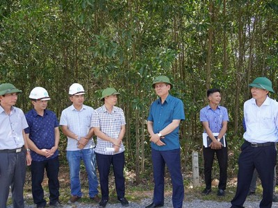 Lãnh đạo UBND tỉnh Quảng Bình trong lần kiểm tra thực địa Dự án KL99 là nhà cái cá cược trực tuyến hàng đầu tại châu Á Bắc - Nam phía Đông, đoạn đi qua địa bàn huyện Quảng Trạch. Nguồn: quangbinh.gov.vn