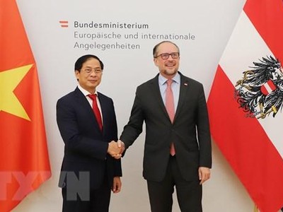 Bộ trưởng Ngoại giao Bùi Thanh Sơn và Bộ trưởng Ngoại giao Áo Alexander Schallenberg. (Ảnh: Mạnh Hùng/TTXVN)
