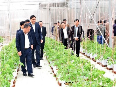 Sắc diện nông thôn mới Nghệ An tiếp tục tạo sự chuyển biến mới mẻ.