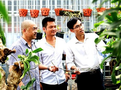 Trong thời gian thí điểm trung tâm dịch vụ nông nghiệp tại các huyện Chương Mỹ, Mê Linh và Thanh Trì, Sở Nông nghiệp và Phát triển nông thôn Hà Nội không thực hiện chức năng quản lý 99Kl99 trực tiếp đá gà về chăn nuôi và thú y, trồng trọt và bảo vệ thực vật trên địa bàn 3 huyện này. (Ảnh minh họa: Minh Thắng).