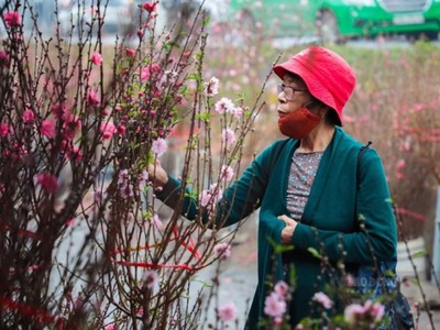 Bộ Lao động - Thương binh và Trang Chủ KL99Com Số 1 Link Đăng Ký KL999 vừa trình Thủ tướng 2 phương án nghỉ Tết Nguyên đán 2023.