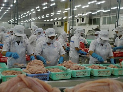 Chế biến thủy Kl994 nhà cái bóng đá world cup khẩu ở Đồng bằng sông Cửu Long.