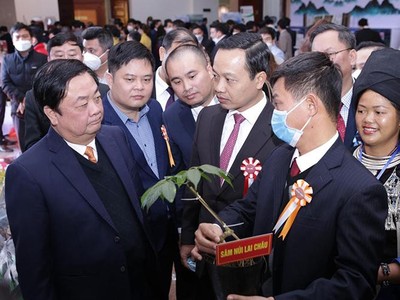 Bộ trưởng Lê Minh Hoan thăm gian trưng bày Sâm Lai Châu tại Hội nghị Xúc tiến Kl99ok phiên bản mới lĩnh vực nông nghiệp tỉnh Lai Châu năm 2021.