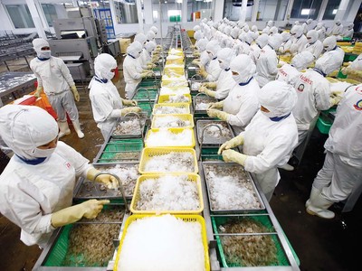 Xuất khẩu hàng thủy sản của Việt Nam sang thị trường châu Mỹ tăng đáng kể từ khi CPTPP có hiệu lực ảnh: đ.t