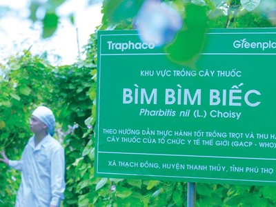 Traphaco luôn đảm bảo cân bằng 3 mục tiêu: tăng trưởng Kl992 cổng game cá cược gắn với bảo tồn hệ sinh thái xanh và phát triển cộng đồng Trang Chủ KL99Com Số 1 Link Đăng Ký KL999.