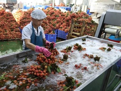 Bộ trưởng Nguyễn Hồng Diên đề nghị phía Ấn Độ đẩy mạnh mở cửa thị trường đối với các mặt hàng nông sản, trái cây tươi của Việt Nam. (Ảnh: Danh Lam/TTXVN)
