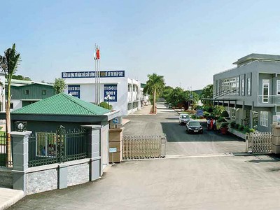 Tibaco (TSB) “nổi sóng” hậu thoái vốn 99Kl99 trực tiếp đá gà