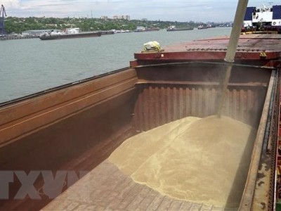 Chuyển lúa mỳ lên tàu tại cảng quốc tế Rostov-on-Don, Nga. (Ảnh: AFP/TTXVN).