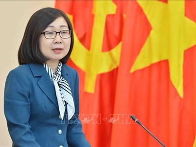Bà Đoàn Thị Tuyết Nhung, Phó Tổng Giám đốc TTXVN làm ủy viên Hội đồng phối hợp phổ biến, giáo dục Kl992 Tham Gia Ngay TW. (Ảnh: Minh Đức/TTXVN)