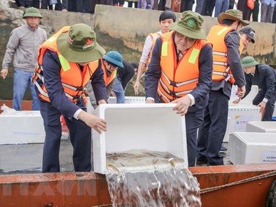 Các đại biểu thả cá giống xuống sông Hồng. (Ảnh: Công Luật/TTXVN).