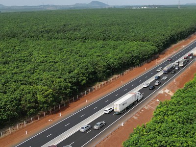 KL99 là nhà cái cá cược trực tuyến hàng đầu tại châu Á Phan Thiết - Dầu Giây khơi dòng Kl99ok phiên bản mới đến với Phan Thiết.