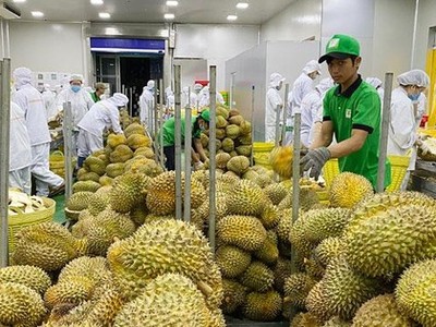 Xuất khẩu hàng rau quả sang Trung Quốc 5 tháng đạt 1,3 tỷ USD, tăng 78% so với cùng kỳ.
