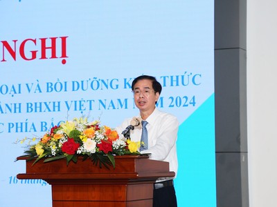 Phó Tổng Giám đốc BHXH Việt Nam Đào Việt Ánh.