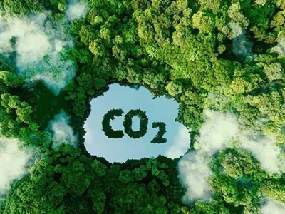 Cơ hội rộng mở để Kl99ok phiên bản mới thị trường carbon tại Việt Nam