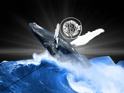 Quý I/2026, nhóm các nhà Kl99ok phiên bản mới "cá voi" Bitcoin cắt lỗ hơn 30 tỷ USD