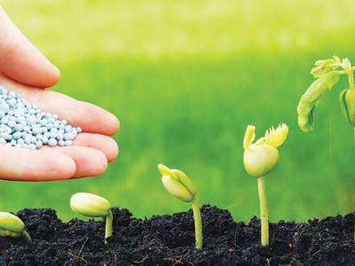 Top 10 Báo cáo Phát triển bền vững: Thành tích đáng khen và những điểm cần cải thiện