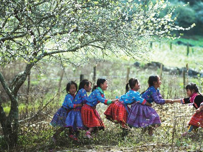 Những mùa xuân đến trong đời