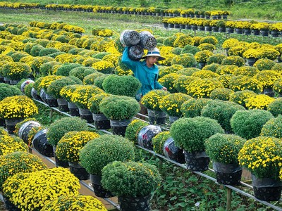 Hướng về nông nghiệp, nông thôn, nông dân