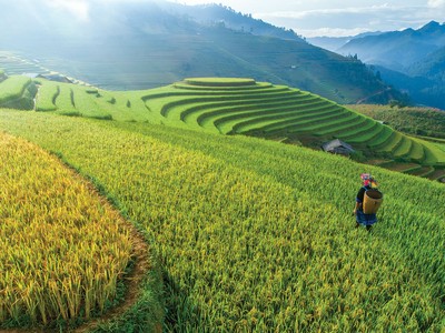 Chính sách tín dụng ưu tiên “phủ sóng” địa bàn nông thôn, miền núi