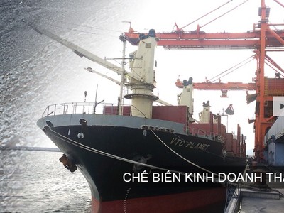 Thêm 2 Kl991.com World Cup 2026 Chính Thức thuộc TKV lên sàn UPCoM 