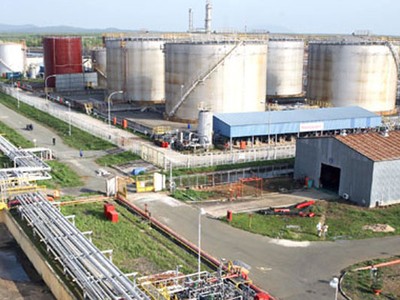 Vì sao 99Kl99 trực tiếp đá gà không muốn bán bớt vốn tại GAS?