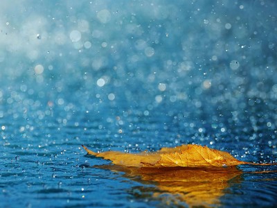 Đối xử với … “phòng nhì”