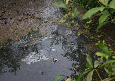Phạt các cơ sở gây ô nhiễm sông Bưởi gần 4 tỷ