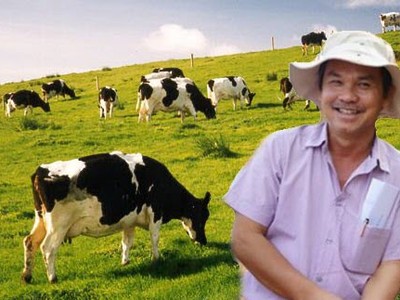 Hoàng Anh Gia Lai muốn chuyển từ trồng cỏ nuôi bò sang trông cây ăn quả