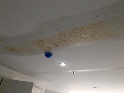 Trần nhà mới đưa vào sử dụng nhưng đã thấm nước
