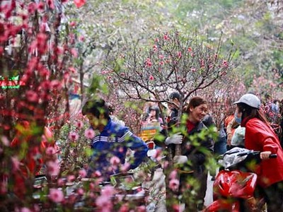 Hai phương án nghỉ Tết Âm lịch 2017