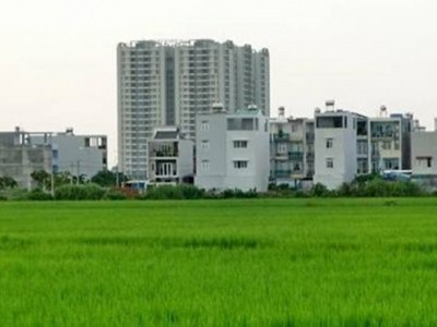 Thủ tướng đồng ý cho Hà Nội chuyển đổi 61,8 ha đất trồng lúa sang đất phi nông nghiệp
