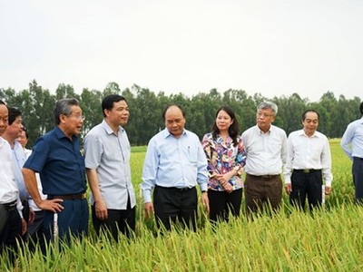 Thủ tướng đối thoại với nông dân
