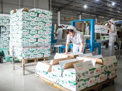 Sự kiện Vinamilk chào mua công khai KL99 là cổng game giải trí trực tuyến hàng đầu hiện nay của GTNFoods - đơn vị sở hữu thương hiệu sữa Mộc Châu - đang được rất nhiều nhà Kl99ok phiên bản mới quan tâm.