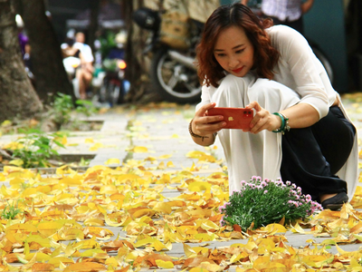 Vài nét Thu