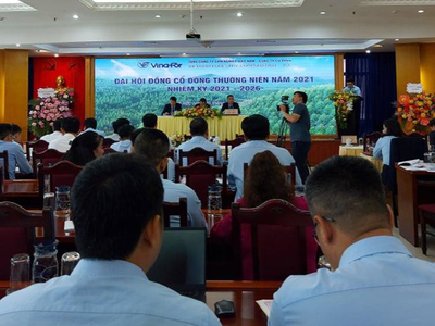ĐHCĐ Vinafor (VIF): Mảng Kl992 VIP Trang Chủ 2026 chính vẫn có lãi nhưng tỷ suất Kl99 nổ hũ không bằng Yamaha