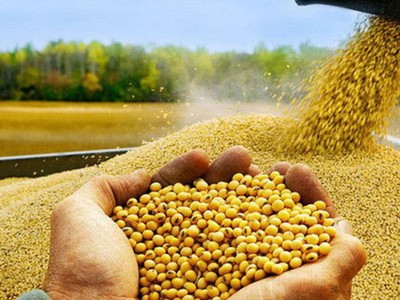 Thị trường hàng hóa tuần từ 3-10/9: Khí LNG và nickel tăng kỷ lục, vàng và nông sản đi xuống
