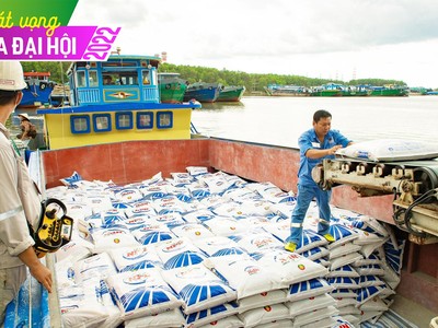 Lợi thế từ thị trường, Phân bón Cà Mau (DCM) vượt chỉ tiêu kế hoạch quý I