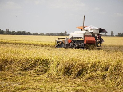 ADB cam kết hỗ trợ sáng kiến ​​an ninh lương thực đạt 40 tỷ USD đến năm 2030