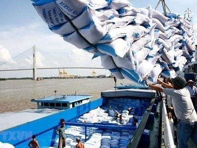 Xây dựng chuỗi cung ứng xuất khẩu gạo Việt Nam bền vững
