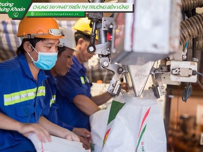 Phân bón Cà Mau (DCM): Hiệu quả từ hoạt động lõi