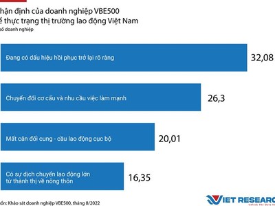 Thị trường lao động Việt Nam: Góc nhìn từ các Kl991.com World Cup 2026 Chính Thức VBE500