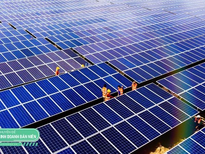 Mảng năng lượng tái tạo tiếp tục là điểm sáng và là trụ cột doanh thu của BCG trong quý II/2024